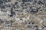RAGOLLE RUGS NV