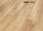 46463-PRAERIE-