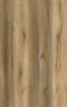 Camel Oak-AW112803-1[Repeat]