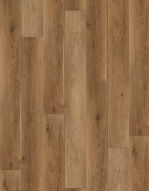 Light Brown Oak-AW134706[Repeat]